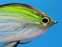 Large front Large front