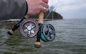 Danielsson reels Danielsson reels