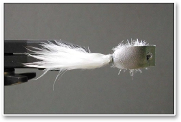 12 Foam Lipped Fly 12 Foam Lipped Fly