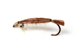 Brown refia baitfish Brown refia baitfish
