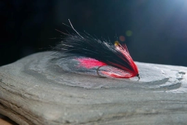 Ringlight backlight Ringlight backlight