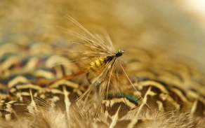 Background Background