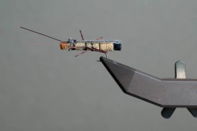 Skwala Skwala