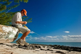 Under the blue sky Under the blue sky