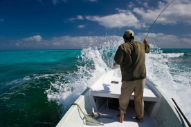 Fighting the waves Fighting the waves