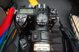 Drip, drip! Drip, drip!