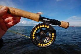 Flies are often small Flies are often small