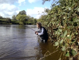 David salmon fishing David salmon fishing