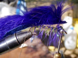 The classic zonker The classic zonker