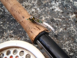 Another Vintter fly Another Vintter fly