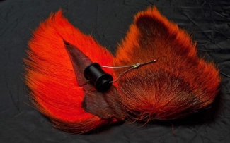 Bucktail Bucktail