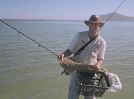 The start of the odyssey- Jacques with a sand shark in Langebaan lagoon The start of the odyssey- Jacques with a sand shark in Langebaan lagoon