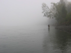 Foggy Skeena Foggy Skeena