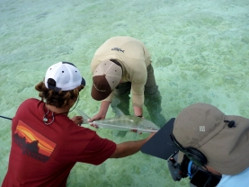 Behind the scenes Behind the scenes