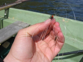 The curse! The curse!