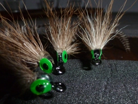 Cockroaches Cockroaches