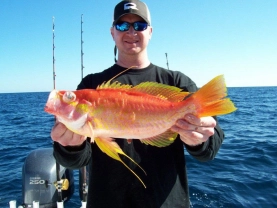 Jason Tison Jason Tison