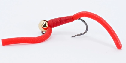 Squirmy worm Squirmy worm