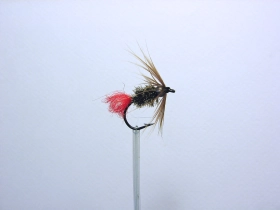 With a bead behind the hackle With a bead behind the hackle