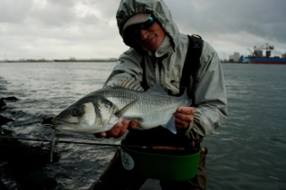 All weather bass All weather bass