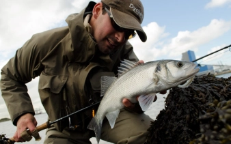 SIlver bass SIlver bass