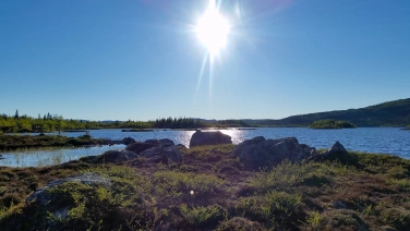 Sunshine! Sunshine!