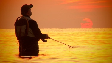 Beautiful videos Beautiful videos