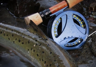 Catalog fish and gear Catalog fish and gear