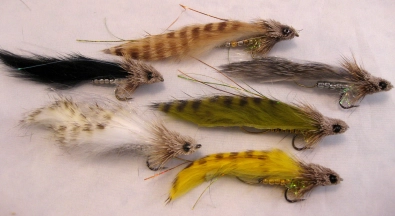 Variations Variations