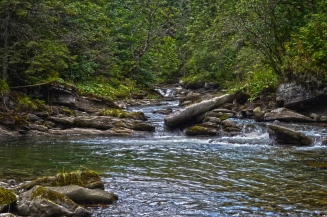 Interesting Interesting