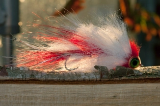 Large but airy Large but airy