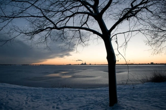 The local park The local park