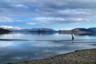 Estuary Estuary