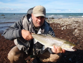 Typical fish Typical fish