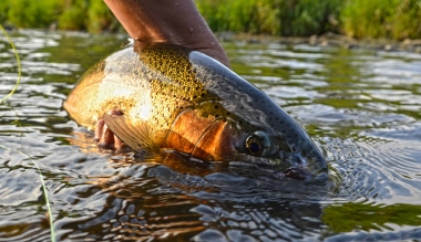 Perfect rainbow Perfect rainbow