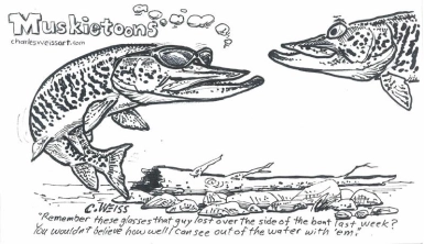 Muskietoons Muskietoons