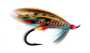 Blue Doctor Blue Doctor