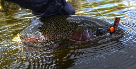 Fighting machine Fighting machine