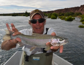 Bright brown trout Bright brown trout