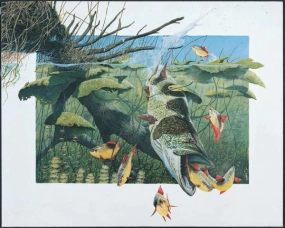 Under the surface Under the surface