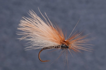CdC dry CdC dry