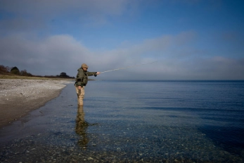 Close to shore Close to shore