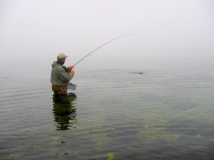 A take in the fog A take in the fog