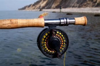 A small baitfish streamer A small baitfish streamer