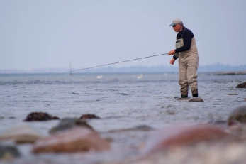 Concentrated Concentrated