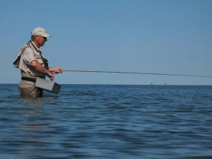 Symmetry and not Symmetry and not