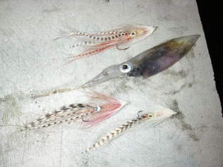 Squid Vicious Squid Vicious