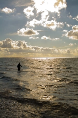 Perfect settings Perfect settings