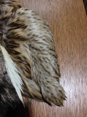 Side and flank Side and flank