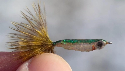 Light background Light background